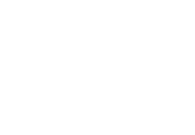logo light